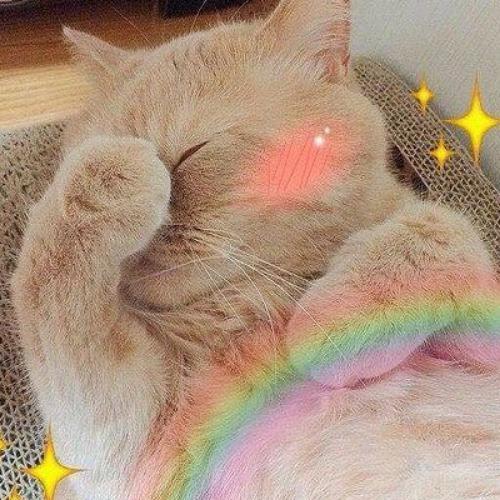 สมาชิกหมายเลข 4526272