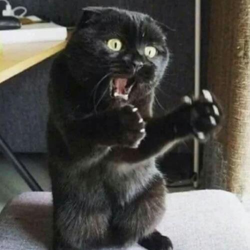 สมาชิกหมายเลข 4941589