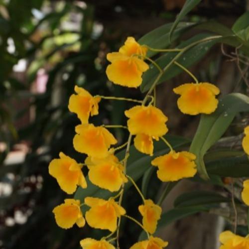 สมาชิกหมายเลข 1004747