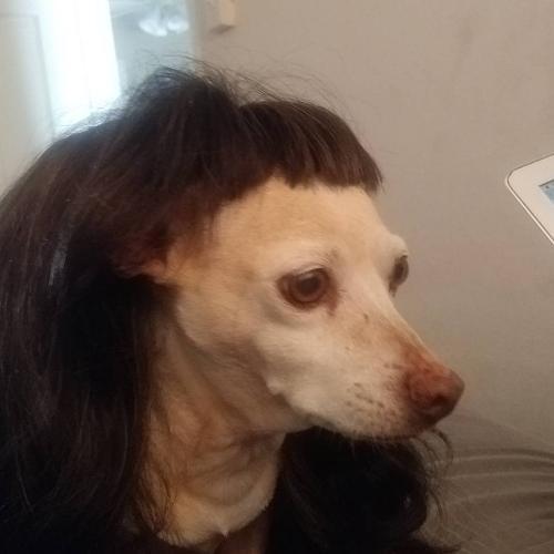 สมาชิกหมายเลข 5137774