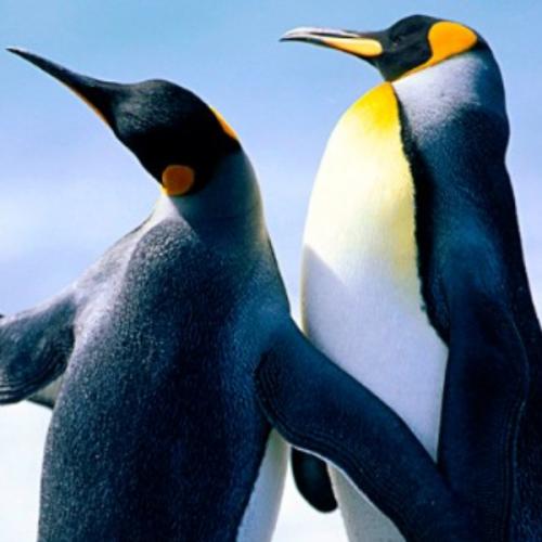 สมาชิกหมายเลข 5823202