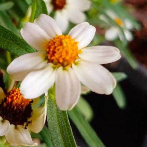 สมาชิกหมายเลข 2856970