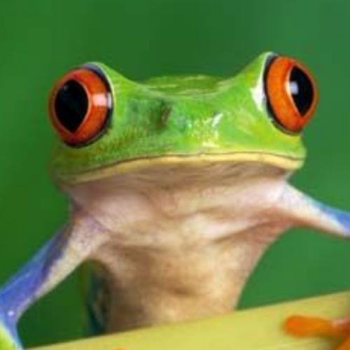 สมาชิกหมายเลข 6426553