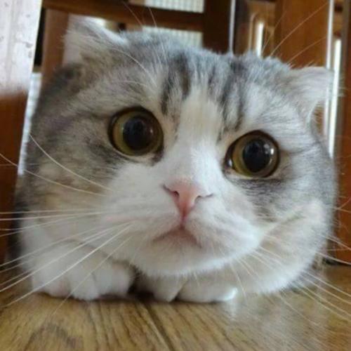 สมาชิกหมายเลข 6426800