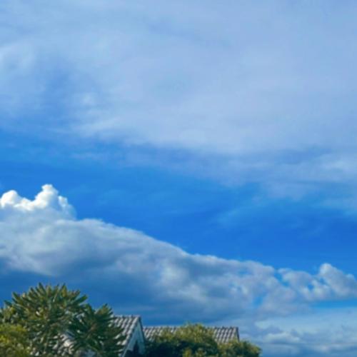 สมาชิกหมายเลข 1880194