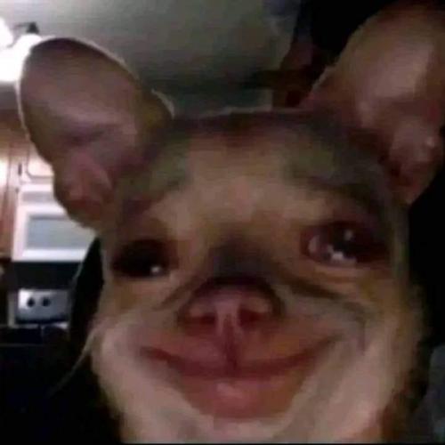 สมาชิกหมายเลข 3053401