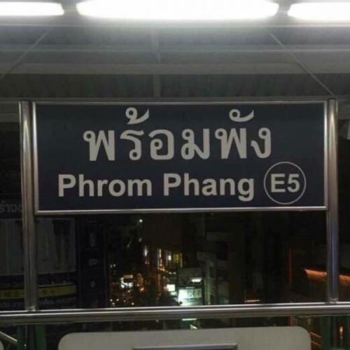 สมาชิกหมายเลข 7766196