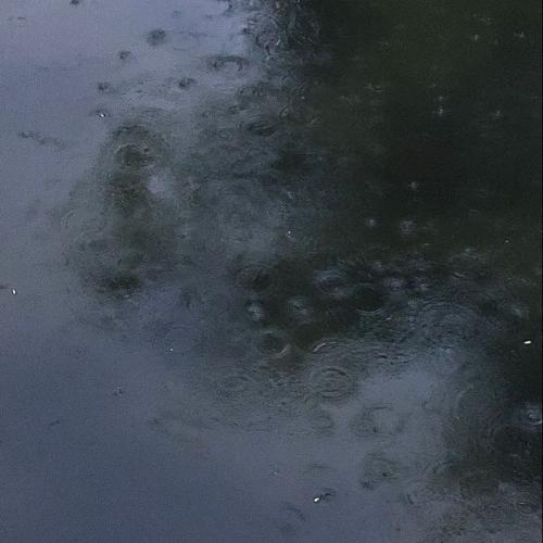 สมาชิกหมายเลข 7905688