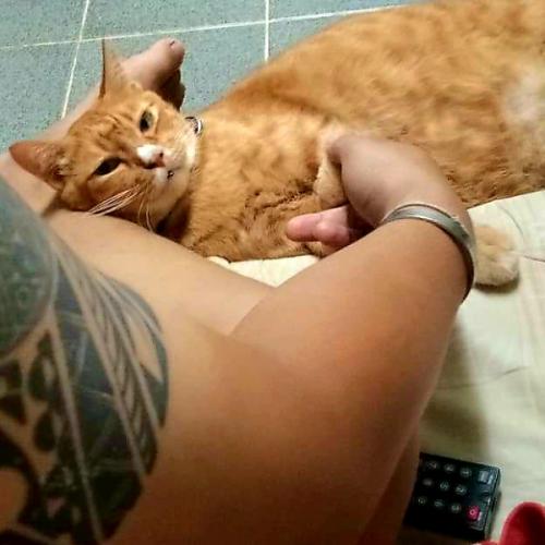 สมาชิกหมายเลข 4996794