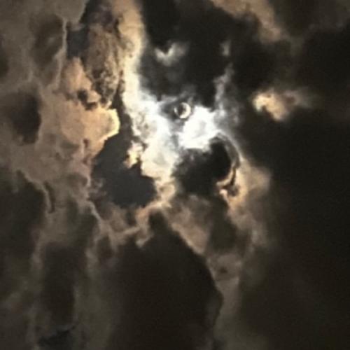 สมาชิกหมายเลข 6989142