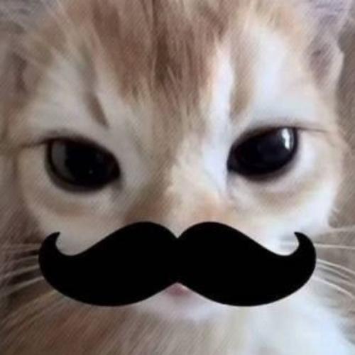 สมาชิกหมายเลข 8922006