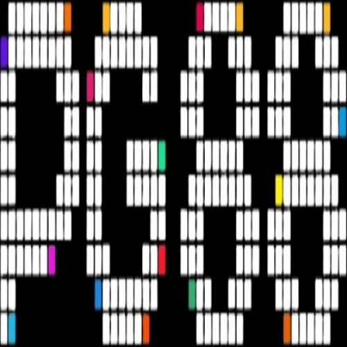 สมาชิกหมายเลข 8922101