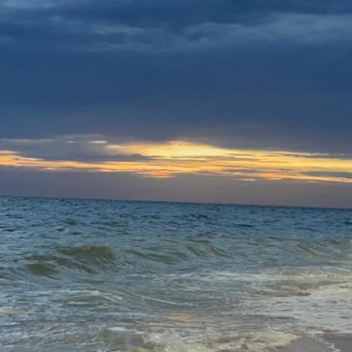 สมาชิกหมายเลข 8922362