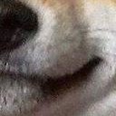 สมาชิกหมายเลข 2935474