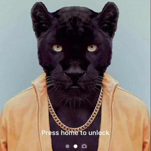 สมาชิกหมายเลข 2180331