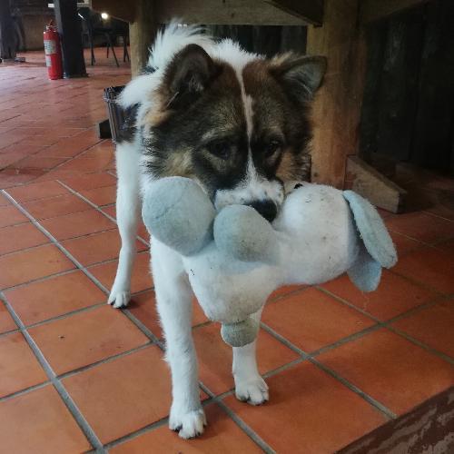 สมาชิกหมายเลข 1702222