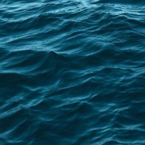 สมาชิกหมายเลข 4714905