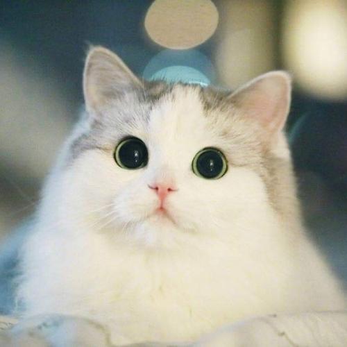 สมาชิกหมายเลข 4948824