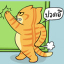 แมวเม้าท์ออนไลน์