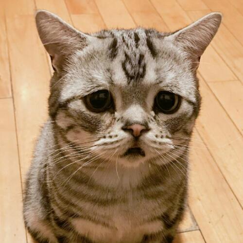 สมาชิกหมายเลข 5346937