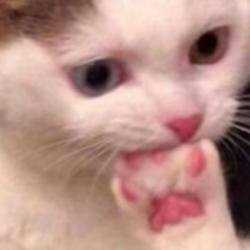 สมาชิกหมายเลข 5347032