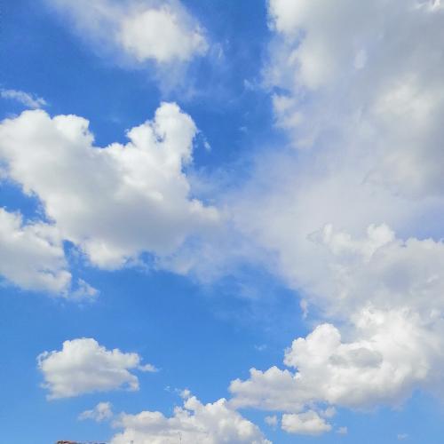 สมาชิกหมายเลข 5347081