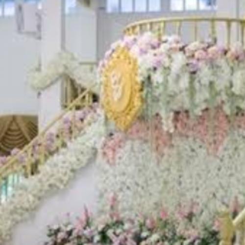 สมาชิกหมายเลข 5582746