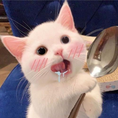 สมาชิกหมายเลข 4394058