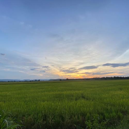 สมาชิกหมายเลข 2307122