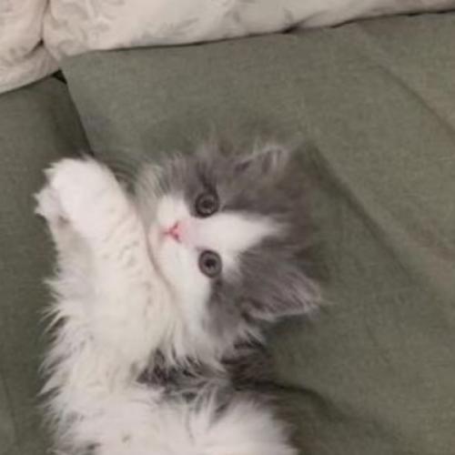 สมาชิกหมายเลข 6655400