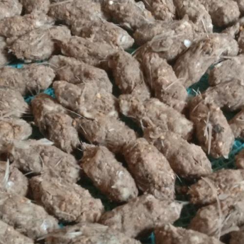 สมาชิกหมายเลข 7121178