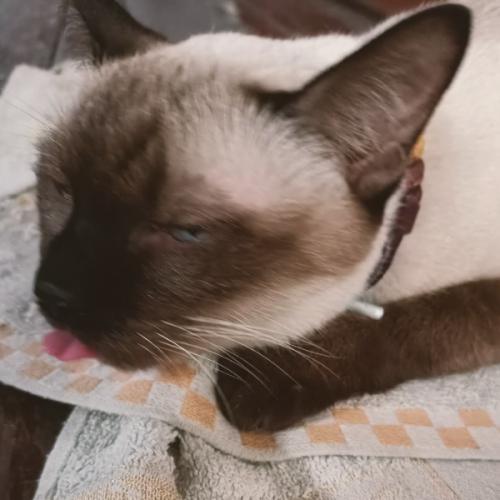 สมาชิกหมายเลข 7907409