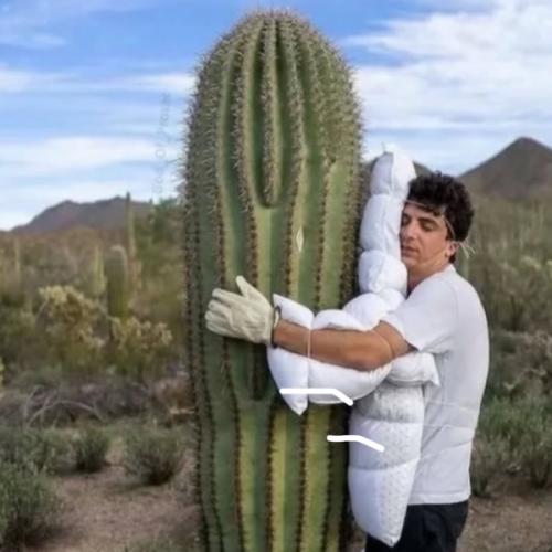 สมาชิกหมายเลข 8923792