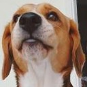 สมาชิกหมายเลข 2436043