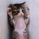 สมาชิกหมายเลข 3737196