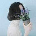 สมาชิกหมายเลข 4037190