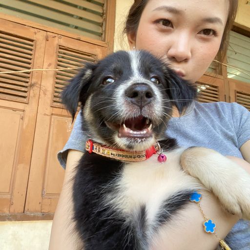 Thidavanh