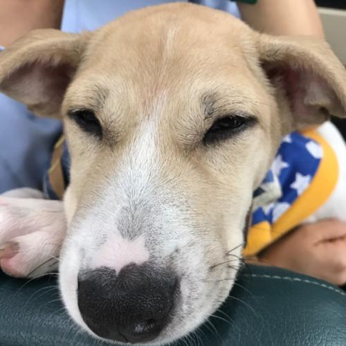 สมาชิกหมายเลข 1464358