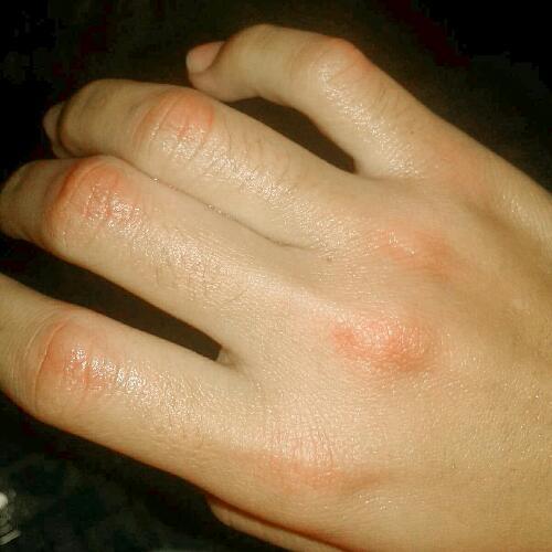 สมาชิกหมายเลข 4600111