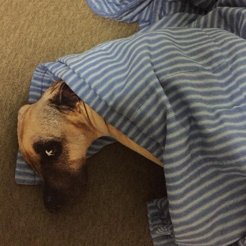 สมาชิกหมายเลข 4600233