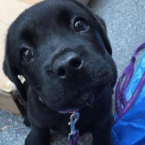 สมาชิกหมายเลข 4949272