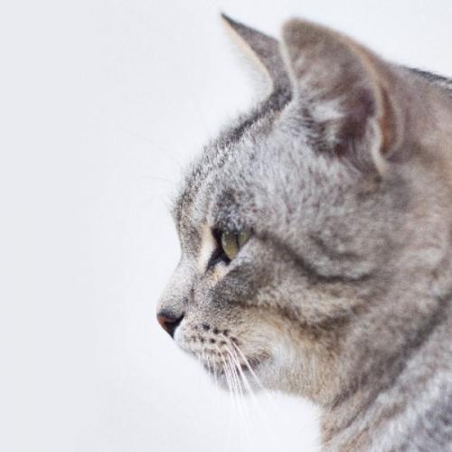 สมาชิกหมายเลข 1815733