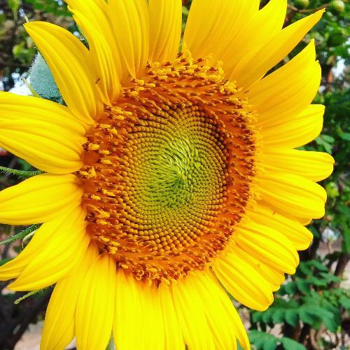 สมาชิกหมายเลข 3310616