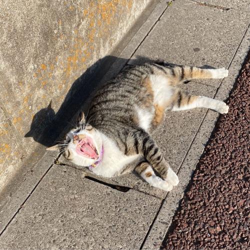 สมาชิกหมายเลข 5824397