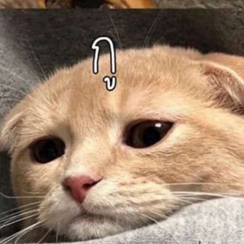 สมาชิกหมายเลข 5824514