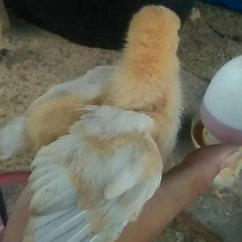 สมาชิกหมายเลข 5824577