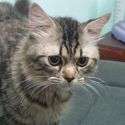 สมาชิกหมายเลข 846716