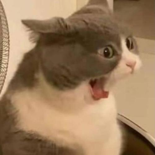 สมาชิกหมายเลข 5495797