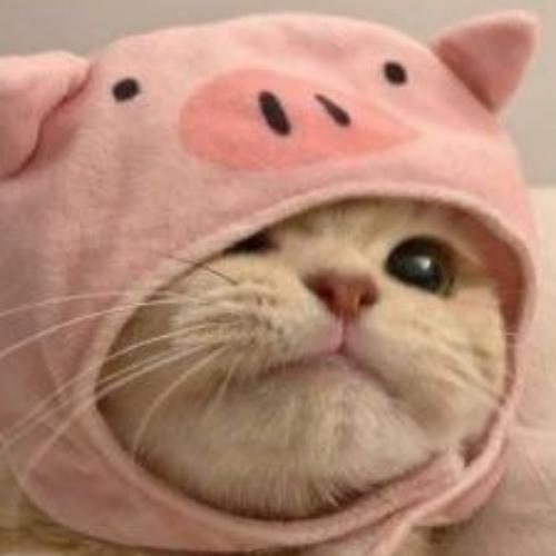 สมาชิกหมายเลข 6427827