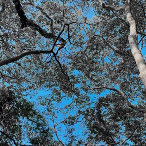 สมาชิกหมายเลข 6427944